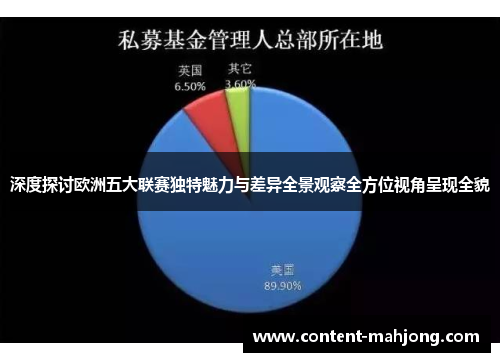 深度探讨欧洲五大联赛独特魅力与差异全景观察全方位视角呈现全貌