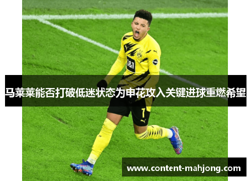 马莱莱能否打破低迷状态为申花攻入关键进球重燃希望